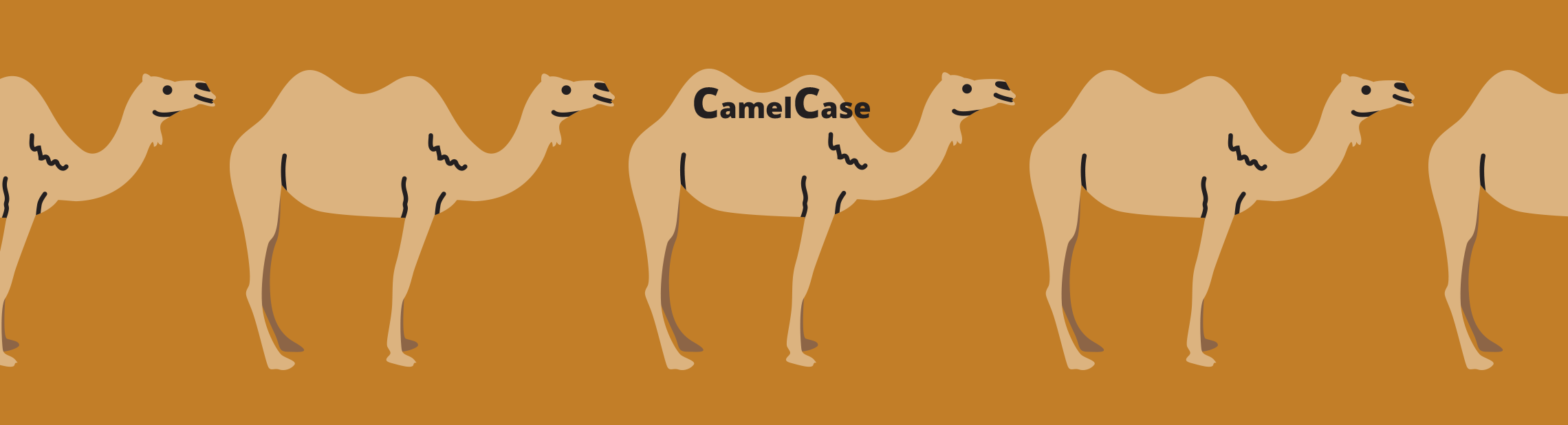 Camel Case Function